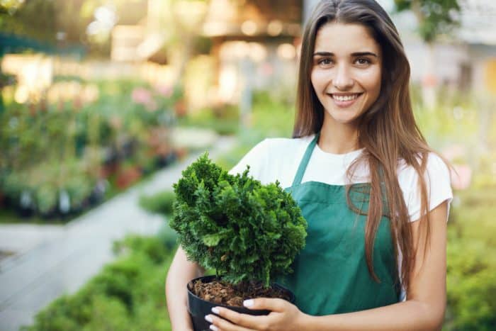 Portrait Of Young European Female Garden Owner Holding A Plant Running A Successful Online Gardening Shop